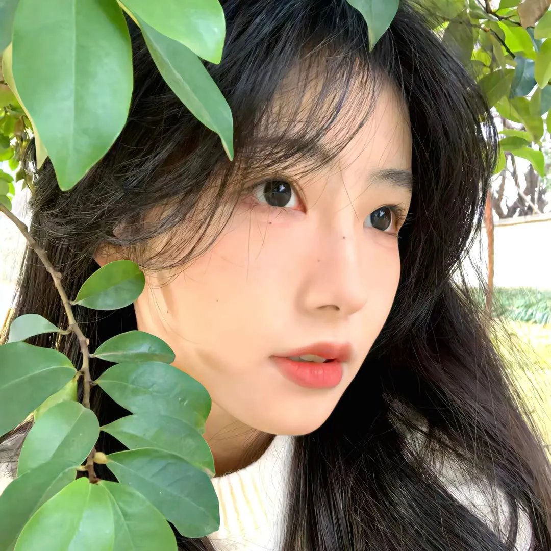 魔都风云